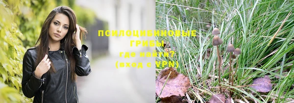 прущая мука Балахна