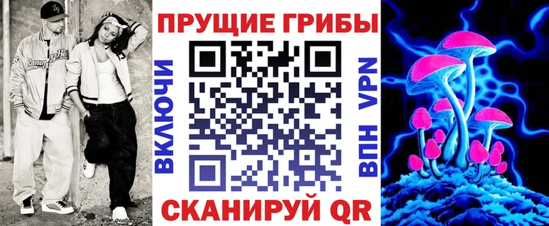 Купить  Сосновка  Галлюциногенные грибы Psilocybe 